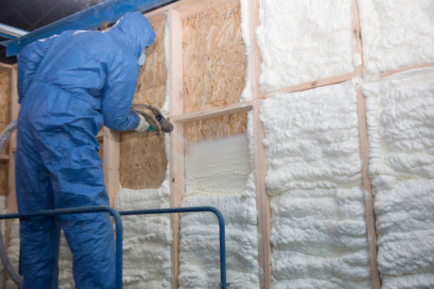 Professional Insulation Removal & Installation in Peotone, IL